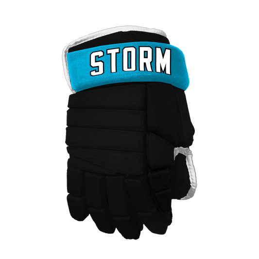 Hudson Valley Storm Custom Team Glove