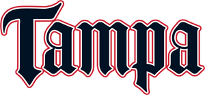 ali store v1 Team Store